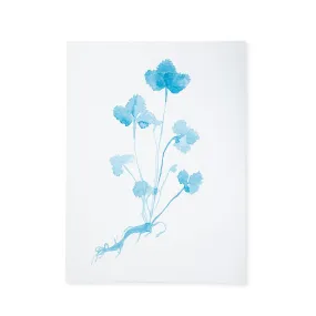 Botanical Print - Blue